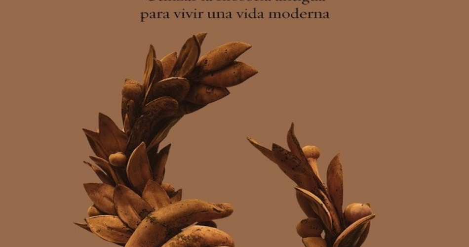 conviertete en un maestro estoico con ariel un camino hacia la virtud y la resiliencia 1