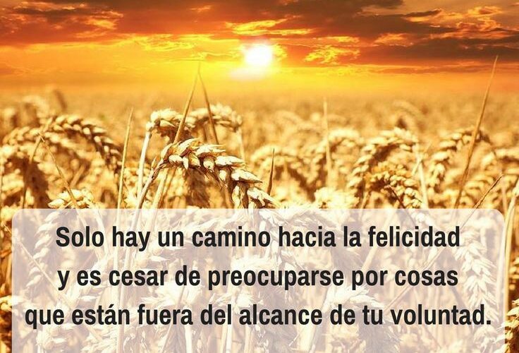 el camino hacia la felicidad segun epicteto