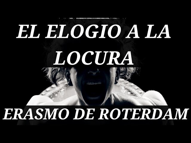 erasmo de rotterdam y su enfoque en el estoicismo