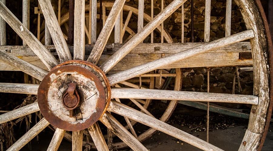 estoicos perro carro destino