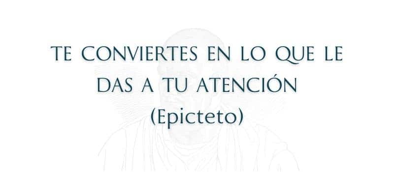 frases estoicismo disciplina