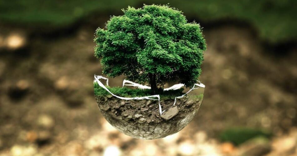 la etica estoica aceptando la naturaleza