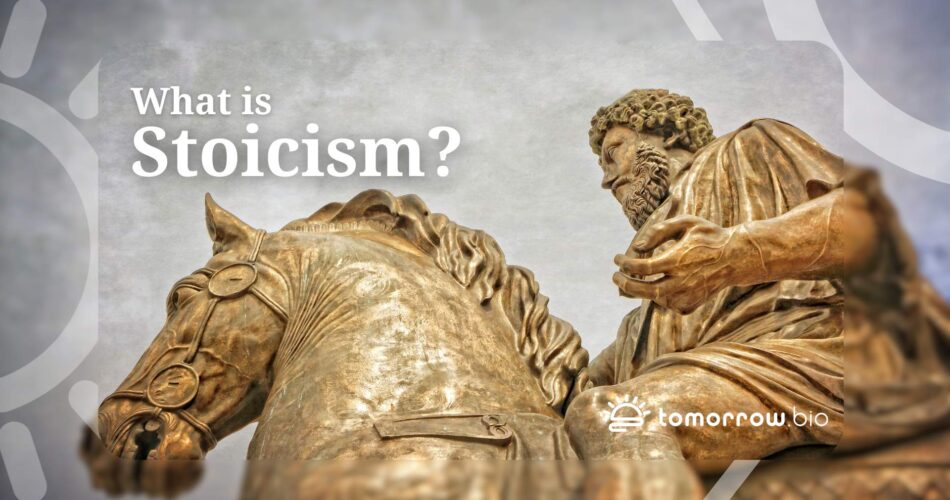 la etica estoica una guia para una vida virtuosa basada en la razon y el autocontrol