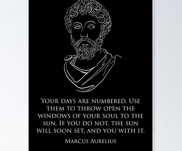 la fuerza del estoicismo y las virtudes prusianas un camino hacia la resiliencia