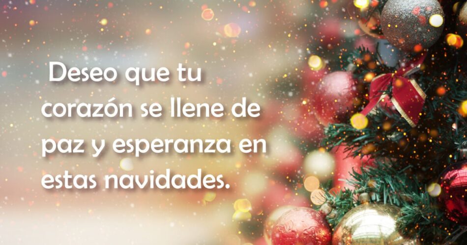 la navidad de los estoicos felicitaciones y reflexiones